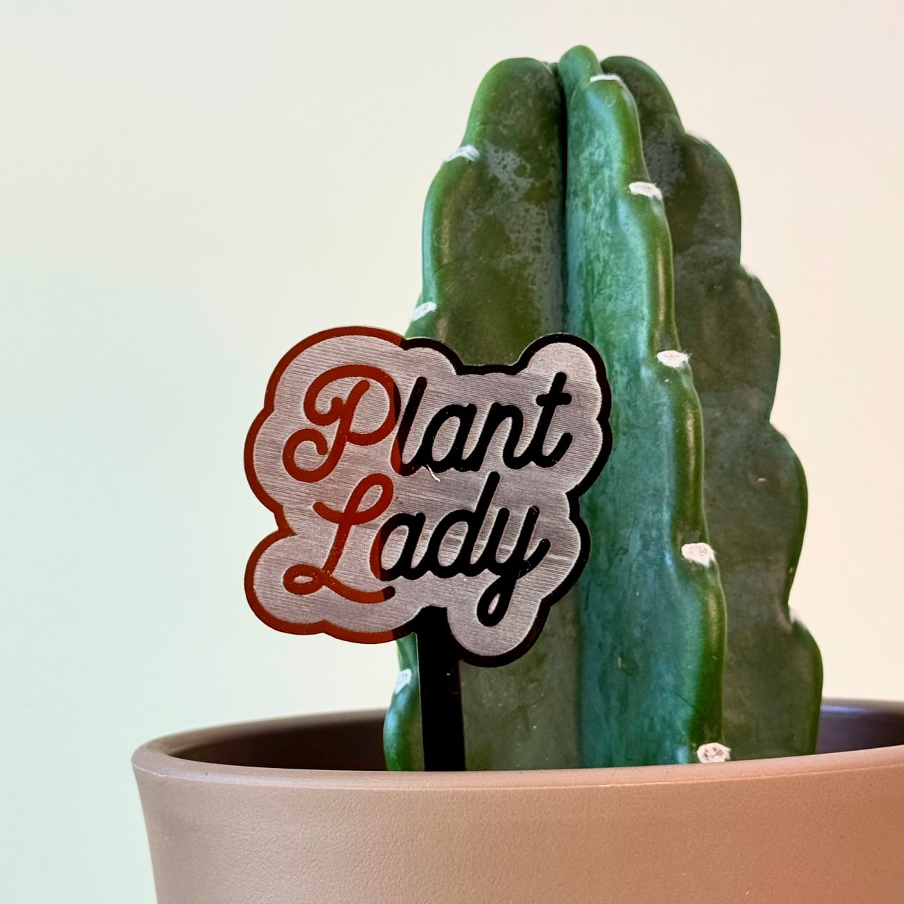 Plant Stakes