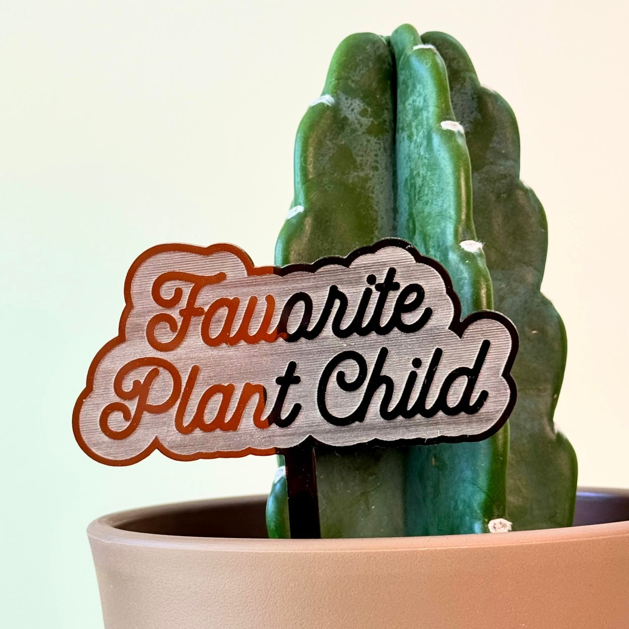 Plant Stakes