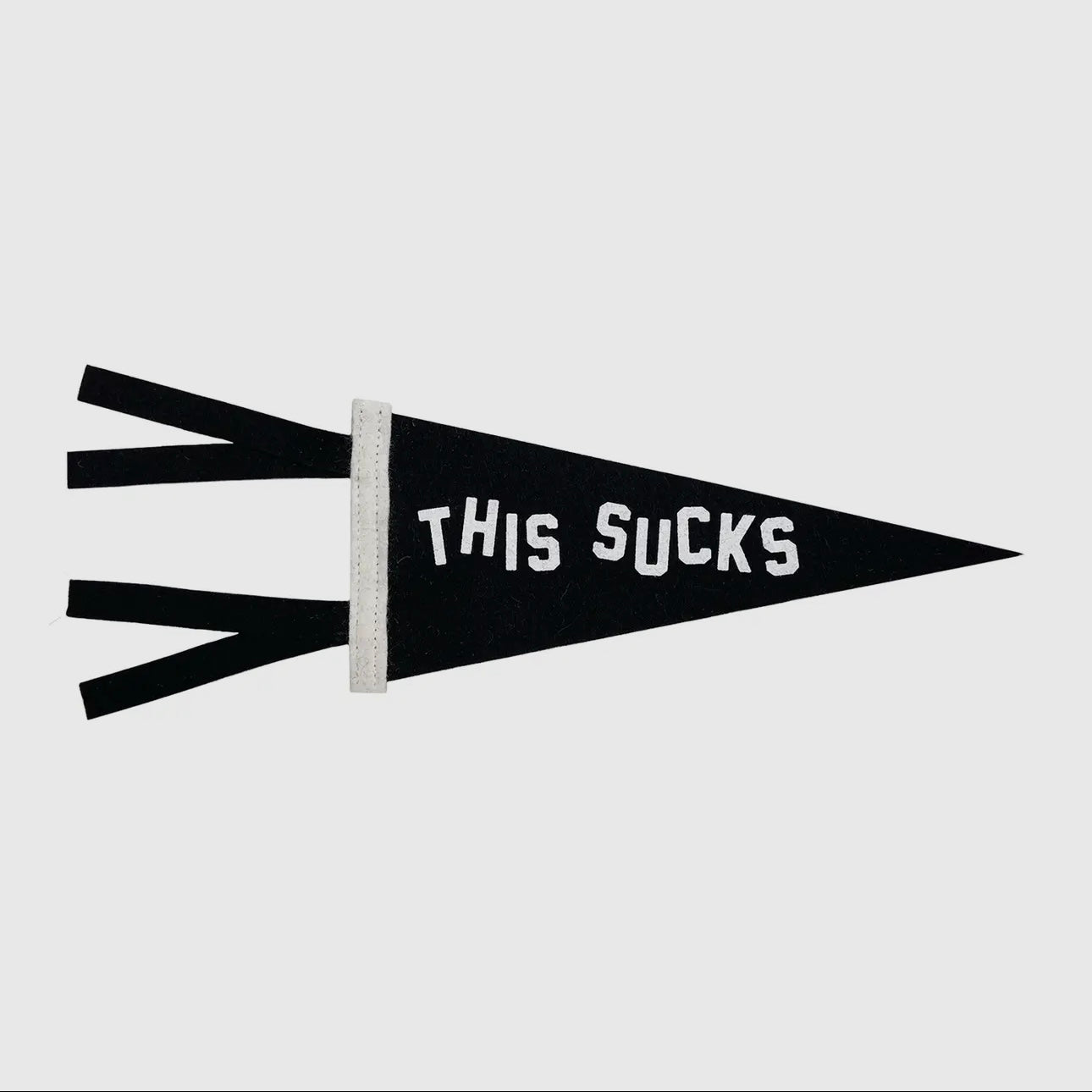 This Sucks Mini Pennant