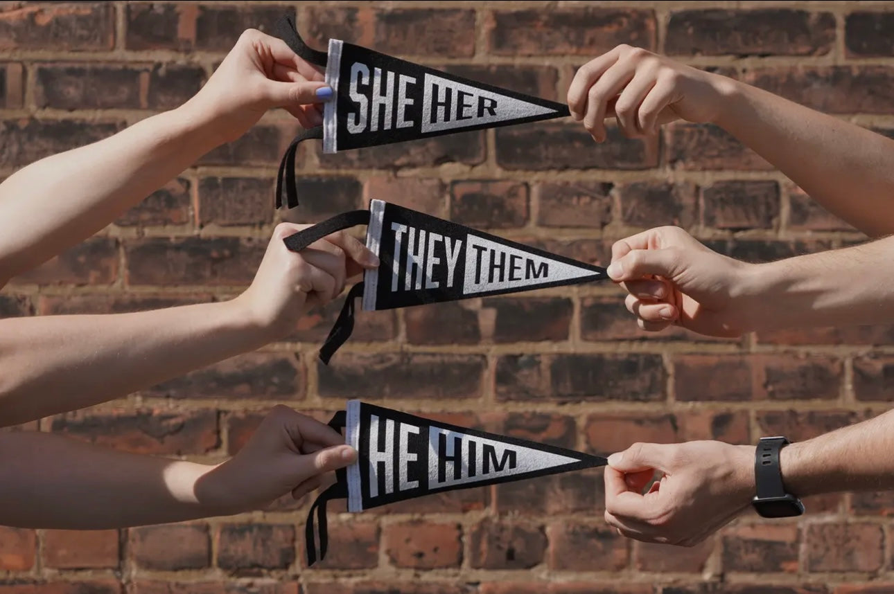 Pronouns Mini Pennant